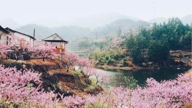中國的桃花源和西方的烏托邦，是全人類的精神遺產(chǎn)